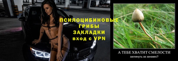 спиды Богородск