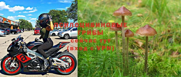дурь Белоозёрский
